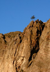 Columnar Rocks on Giants Head