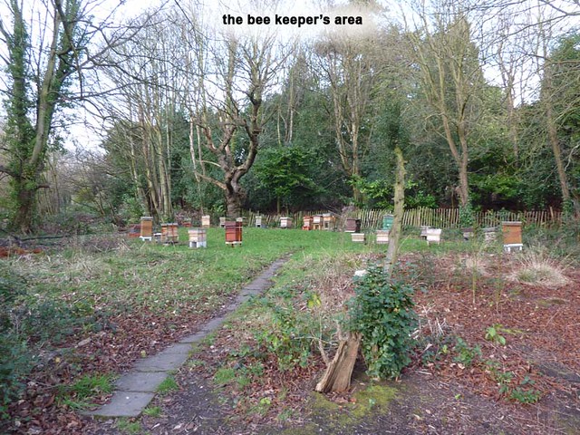 highbury-park-bee-keepers-area