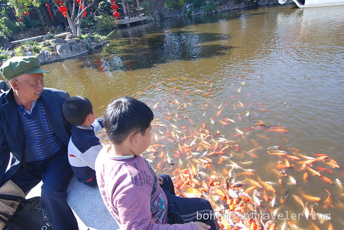 feeding fish at Zhu Family Gardens