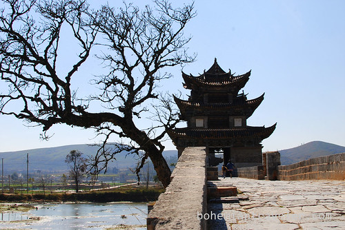 tree and Twin Dragon Bridge Jianshui Yunnan China