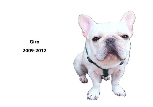 RIP_GIRO
