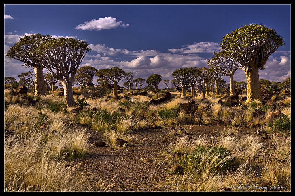 7500 км по Африке: ЮАР, Намибия, Ботсвана. Фотоотчет