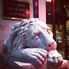 Sleeping Lion Statue @ The Loews Regency Hotel - NYC, NY by michelleCtv, on Flickr