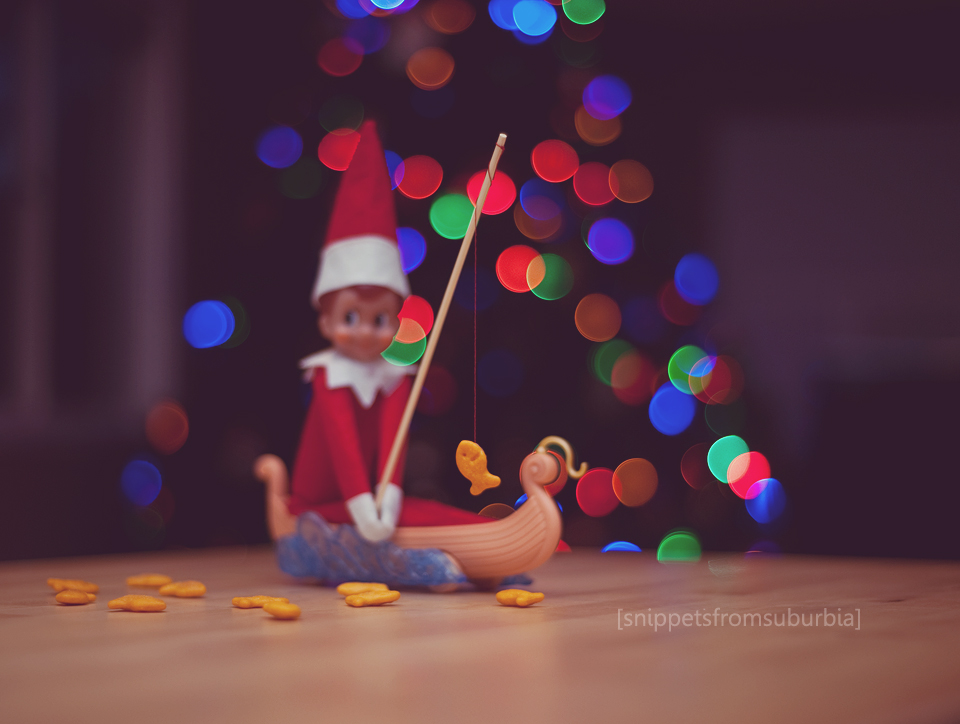 Elf on the Shelf, Day 8 {341/354}