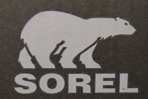 Sorel Bear