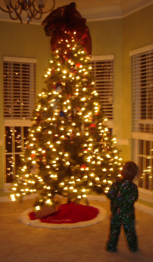 Little boy in front of the Christmas Tree