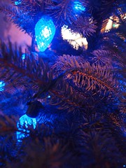 Blue Christmas and Hannukah, too