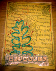 prayer flag #19 Grounded