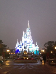 Disney before Dawn