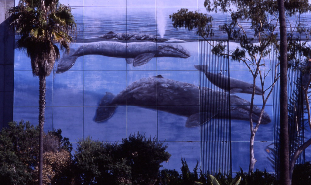 Whaling Wall