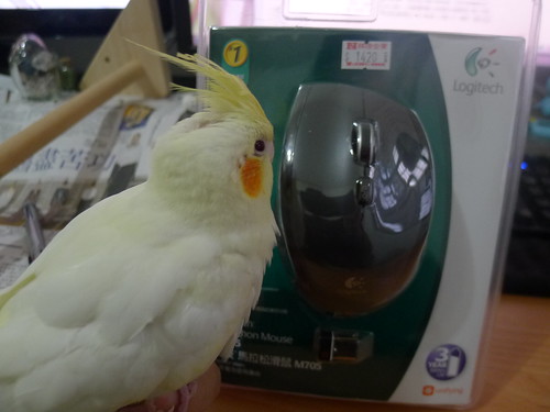 羅技 M705 無線滑鼠 + 粉圓鳥寶