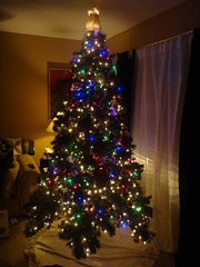 11/2011; Xmas Tree '11