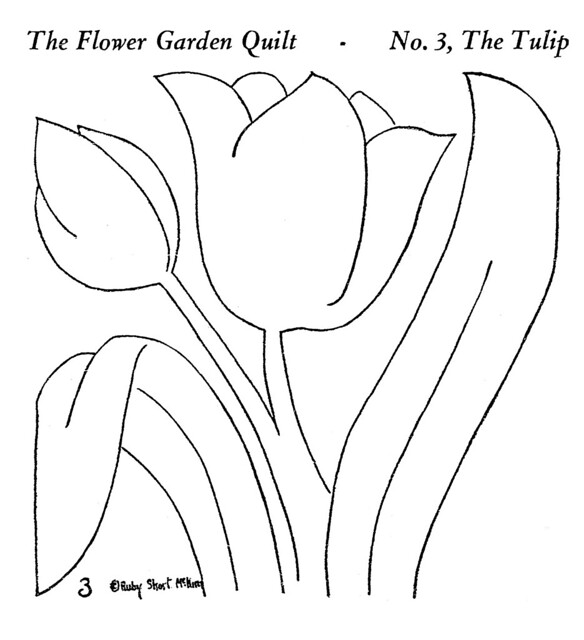 outline tulip