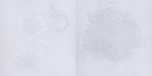 two line drawings of what looks like clumps of hair