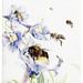 013-The life of the bee 1901-Ilustrada por Edward Detmold