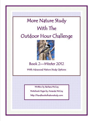 More Nature Study Book 2 Winter Wonder cover