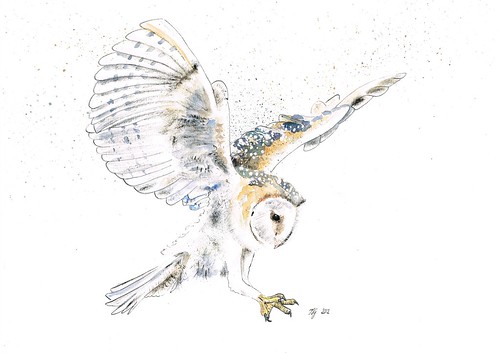 31. Barn Owl by jina11