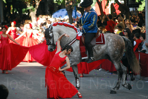Dances with Horses / Bailando con Caballos