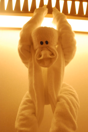 Towel Monkey