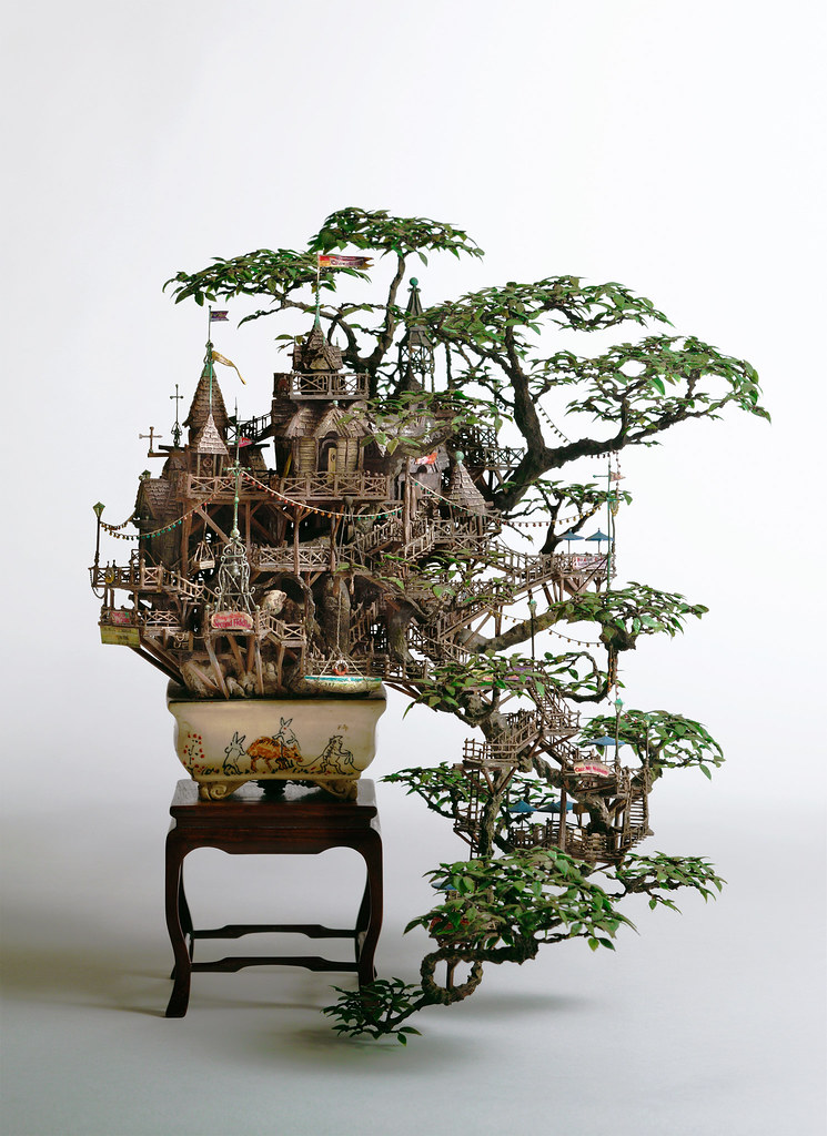 6844475327 69b59cce01 b Bonsai Versions of the Worlds Tallest Tree
