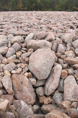 Photograph of Boulder Field at Hickory Run State in Pennsylvania 