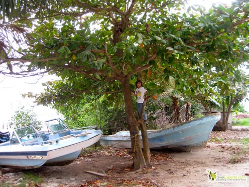 boats and climbing trees caye caulker belize