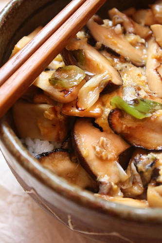 chinese eggplant donburi