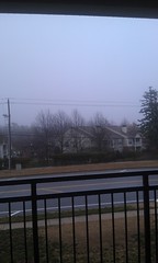 Gray rainy day in North Carolina