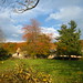 Autumn colours. The tree in front of the house is  cherry, a common tree here. 