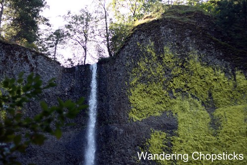 11 Chasing Waterfalls - Columbia River Gorge - Oregon 13