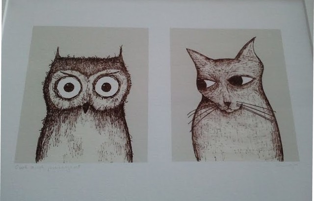 owl & cat