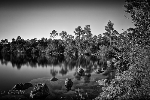 Pine Glades Lake, Everglades National Park by photomyhobby