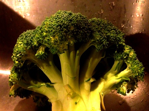 (pre)choppinbroccoli by Nature Morte