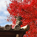 2010 京都 秋：東福寺