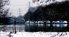 Snow - February 2012