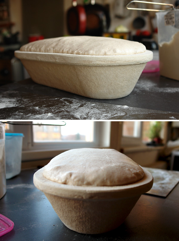mother dough 08