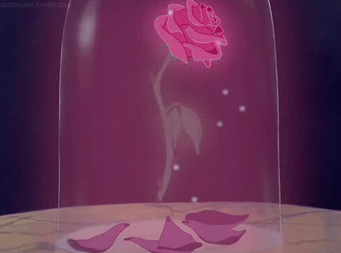 The Enchanted Rose - Inspiration