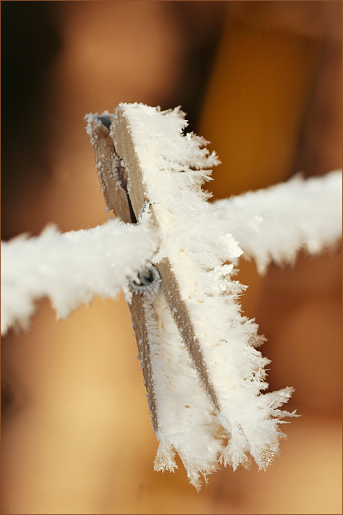 clothespin hoar frost