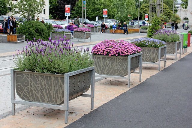 Flower boxes in Christchurch