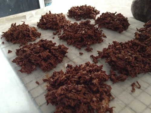 Chocolate coconut cookies