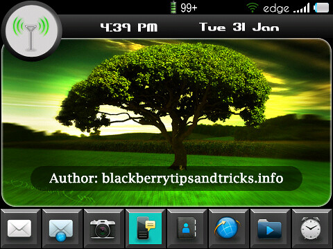 Blackberry Bold Top 3 Free Themes 2009 -.