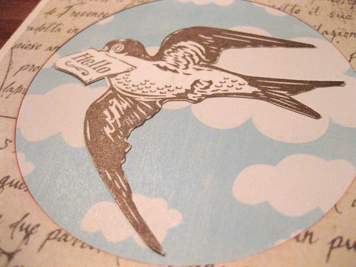 Bronze letterbird closeup