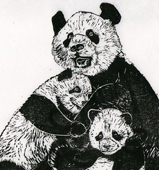 Pandas - detail