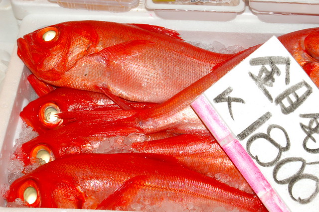 Tsukiji Fish Market_4