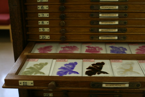 Pathology Collections images 028