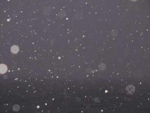 Boszporusz kilátás hóviharban