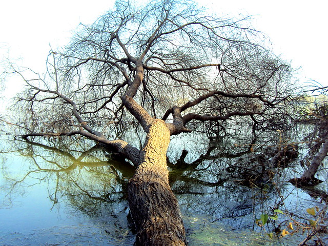 Thor Lake Ahmedabad