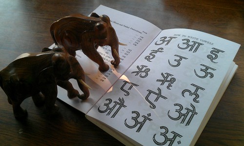 Elephants checking that this book's got the Sanskrit vowels right