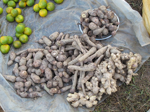 Yams on sale at the gate to Usutomi village