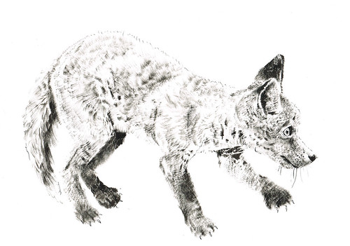 8) foxcub by jina11